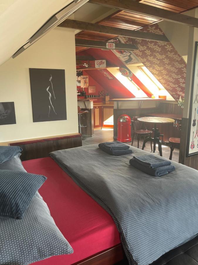Stylove Apartmanky Frýdek-Místek エクステリア 写真