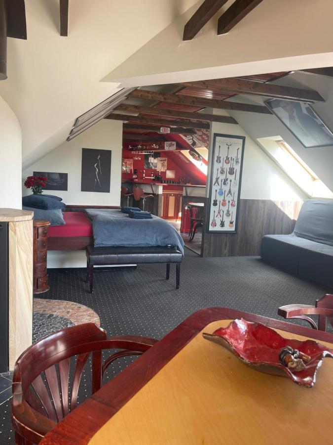 Stylove Apartmanky Frýdek-Místek エクステリア 写真